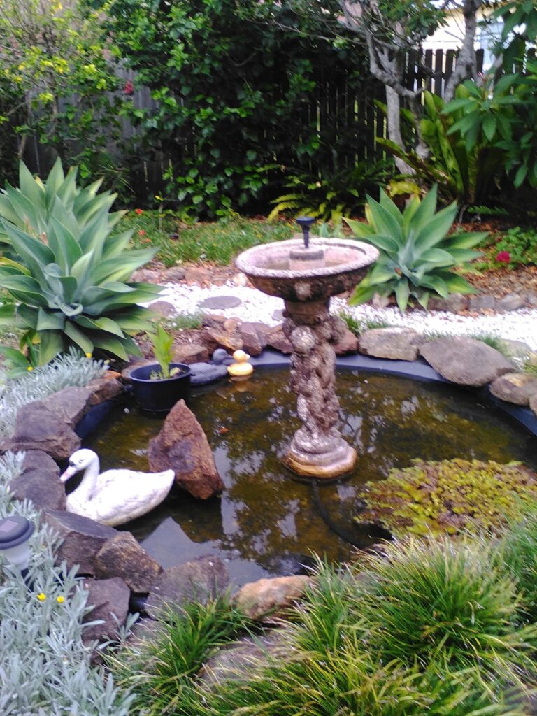 Bird Bath