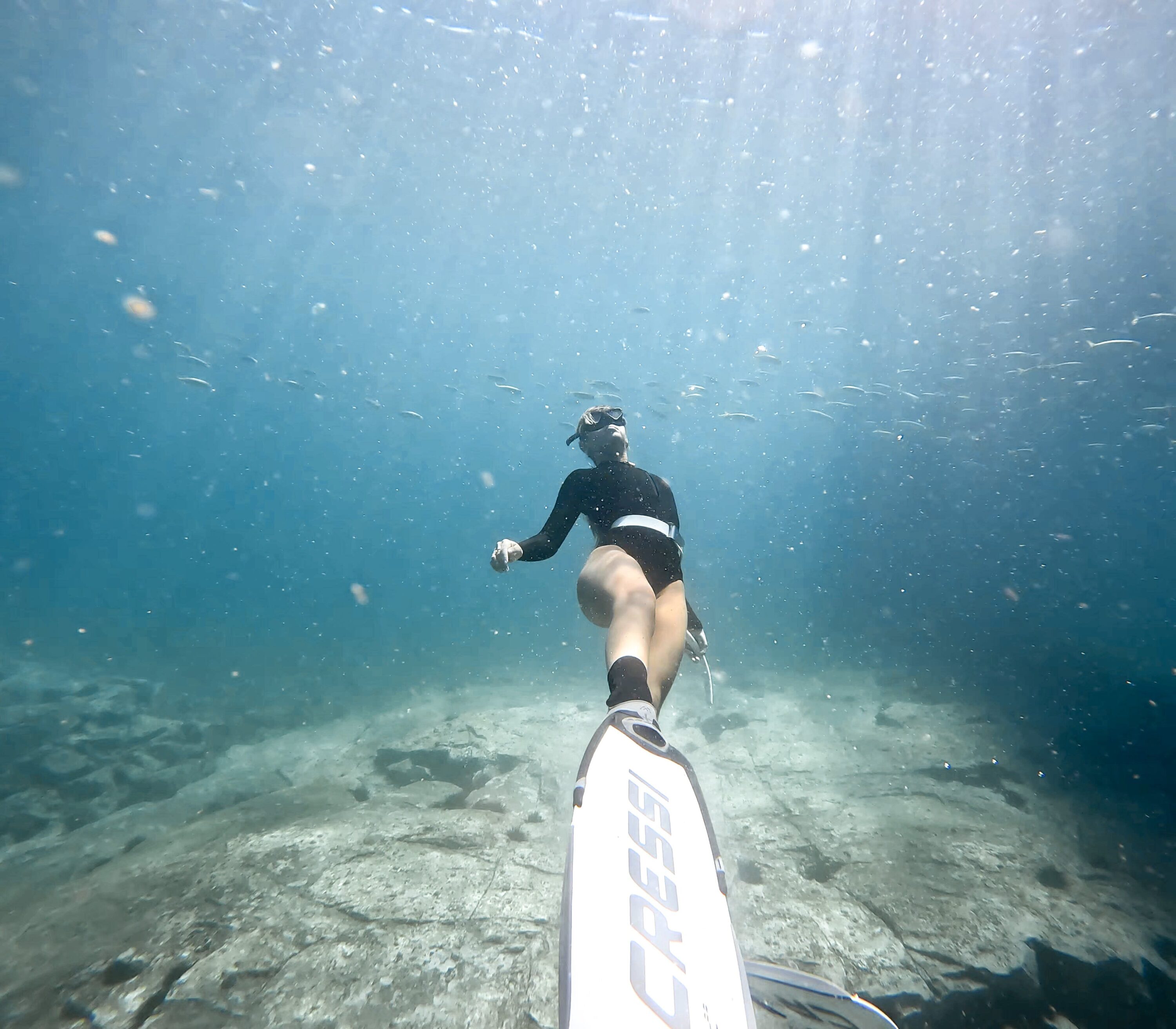 Skye doing an underwater photo shoot at Shellharbour