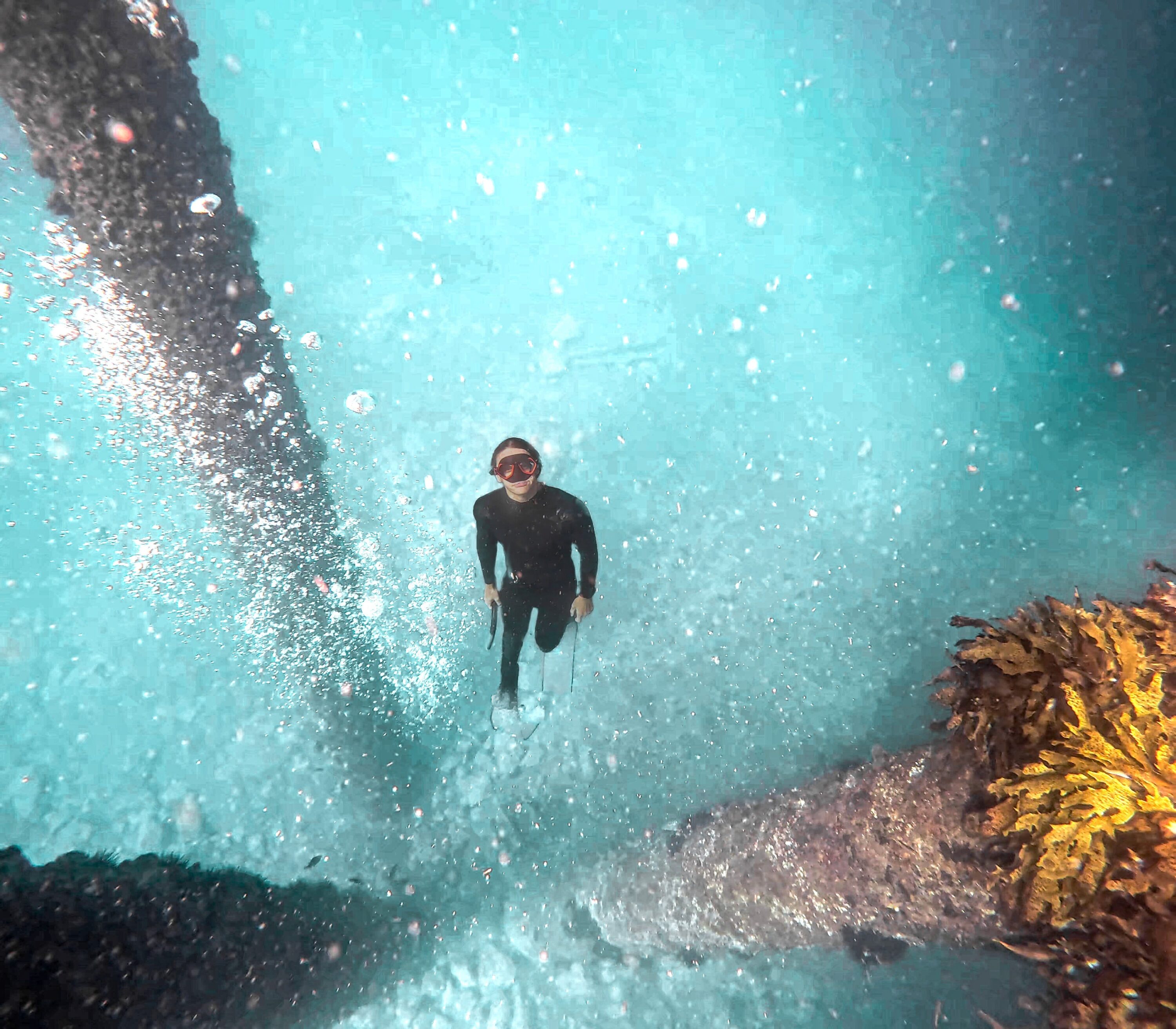 Curtis Freediving Shellharbour Wreck with Deep Sensations Freediving