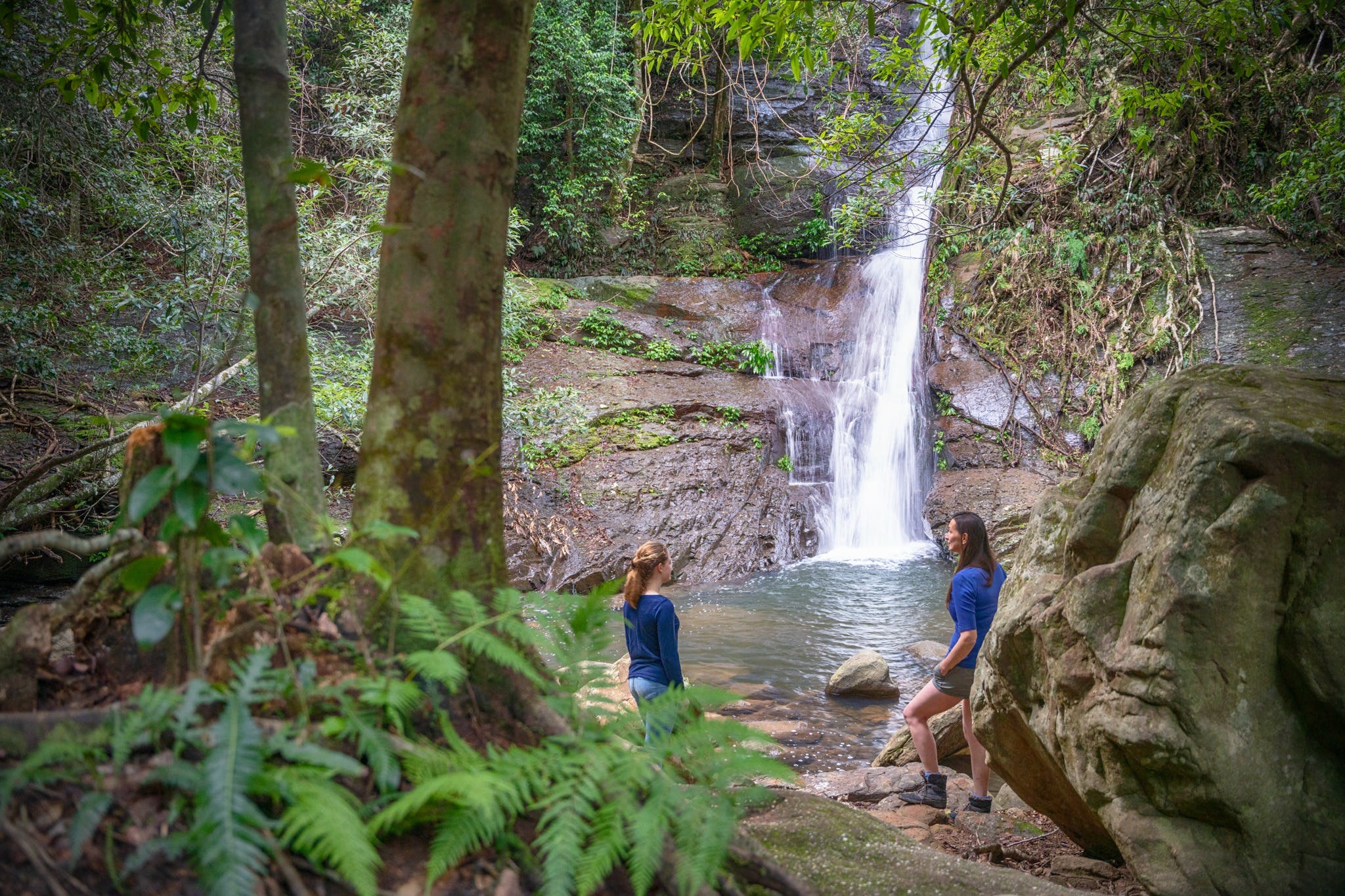 Macquarie Pass National Park