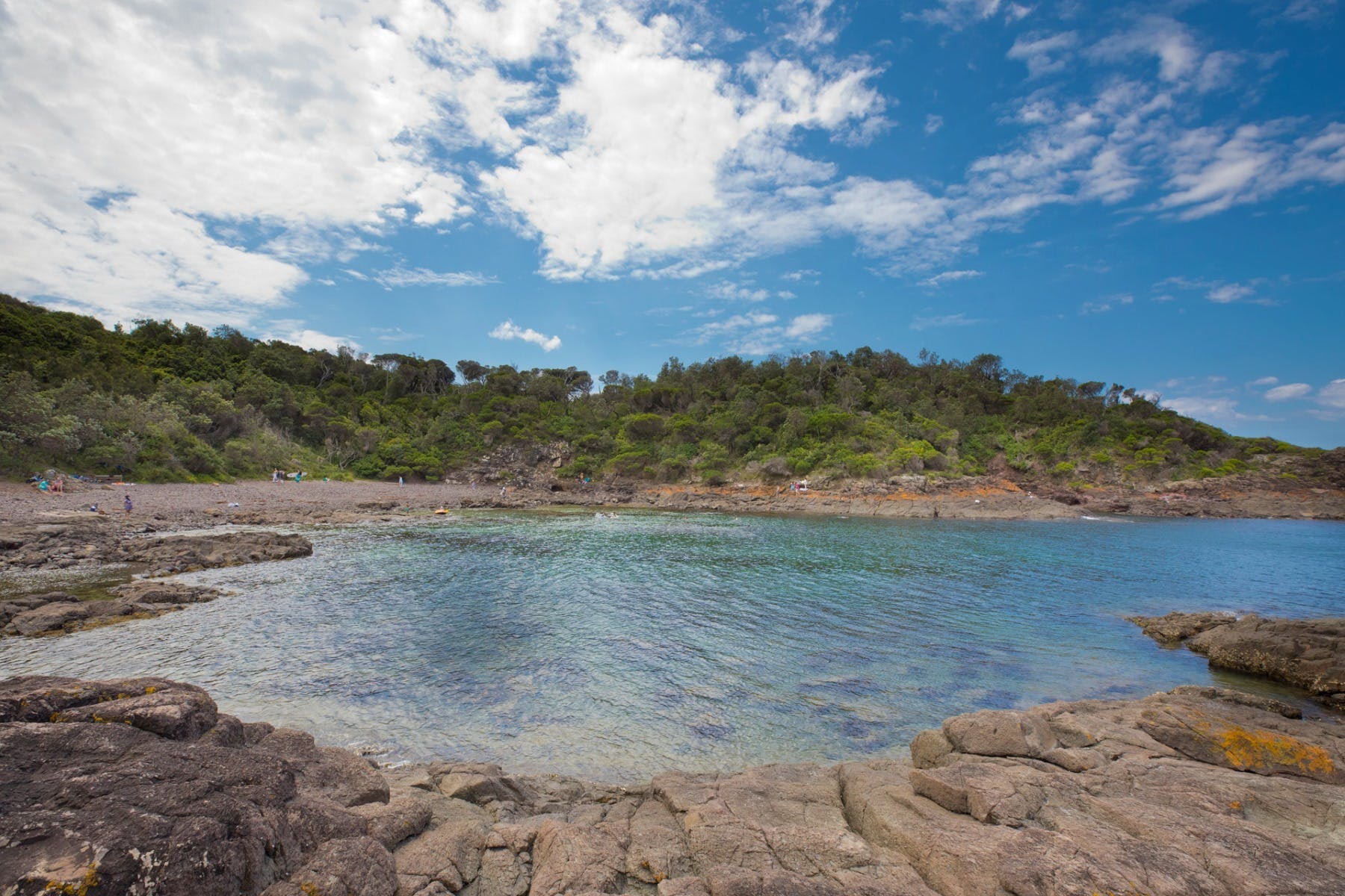 Bass Point Reserve - Bushrangers Bay