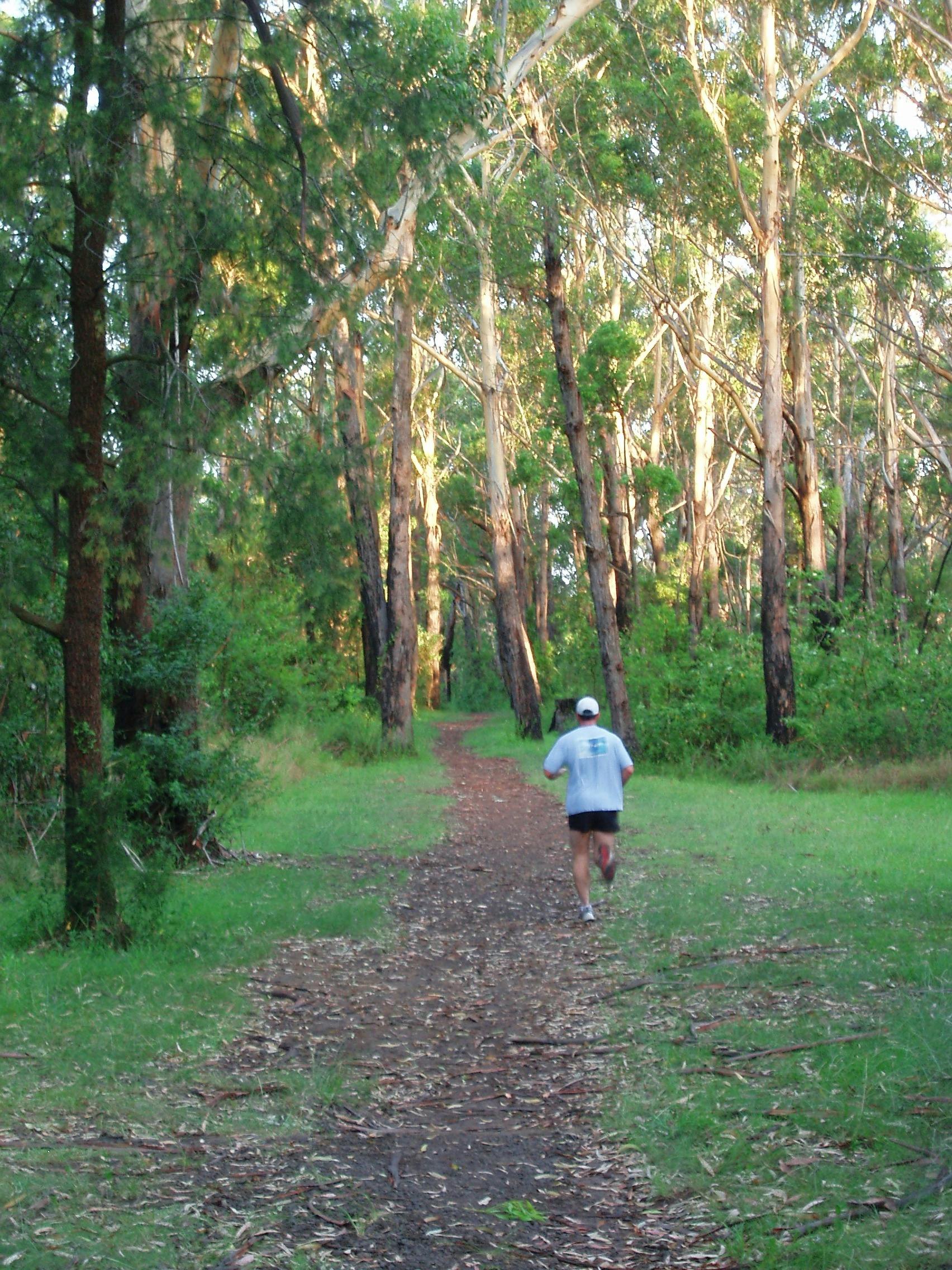 Blackbutt Forests Reserve