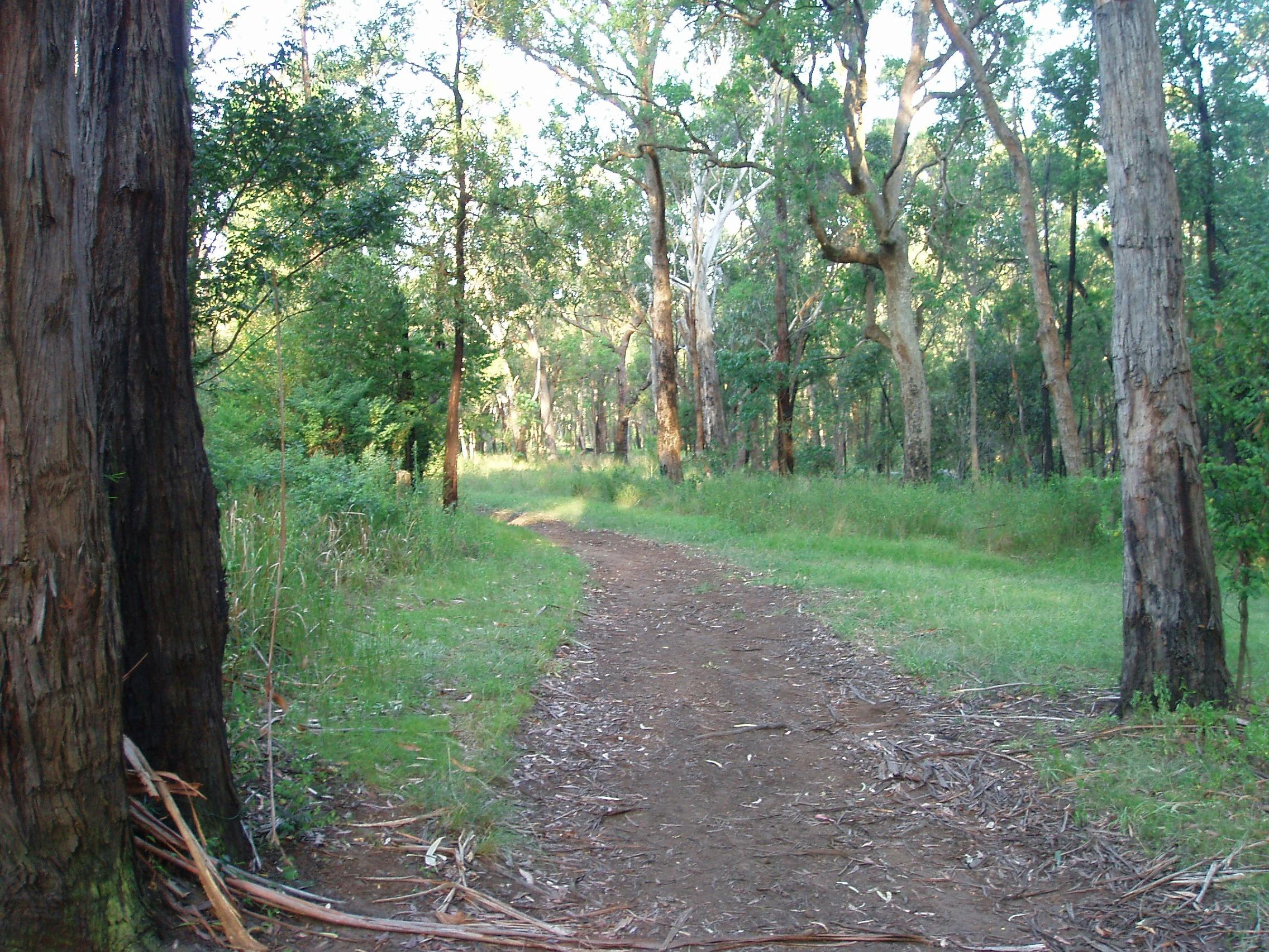 Blackbutt Forests Reserve