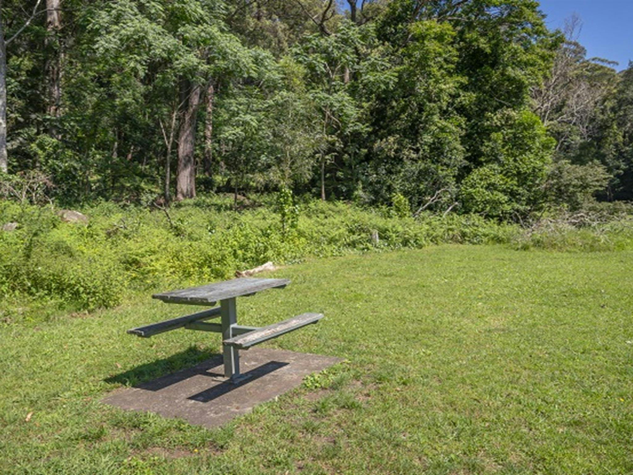 Picnic table at Cascades picnic area, Macquarie Pass National Park. Photo: John Spencer ©DPIE